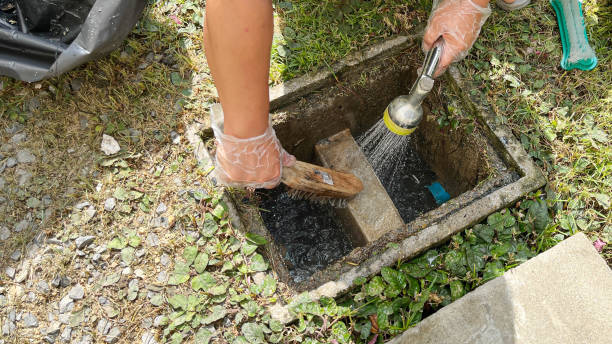 Maintenance of Grease Traps - Taming the Fatbergs in Your Kitchen